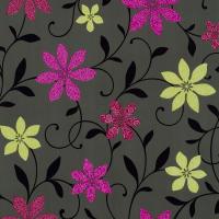 купить P+S International Wish 2014 05619-30