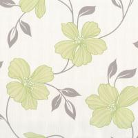 купить P+S International Finesse 05624-20