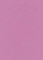 купить Erismann My Garden 6331-21