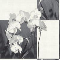 купить Rasch Tiles & More 825022