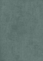 купить BN International Color Stories BN 218505