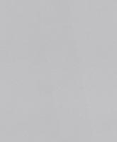 купить Rasch Modern Surfaces 2 604023
