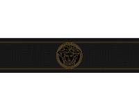 купить A.S.Creation Versace 3 93522-4