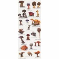 купить Marburg Suprofil 2014 45326