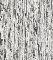 купить Rasch Modern Surfaces 2 934717