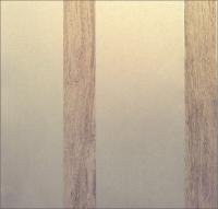 купить KT Exclusive Quod2 228C-04