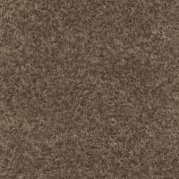 купить Rasch Black Forest 2016 514315