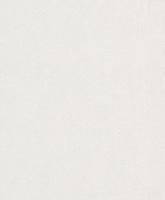 купить Rasch Modern Surfaces 489804