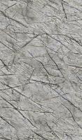 купить Rasch African Queen 2 474015