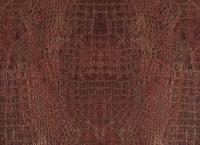 купить BN International Curious 17957