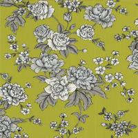 купить Graham & Brown Intrigue 30-755