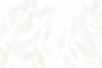 купить Khroma Silva SIA401