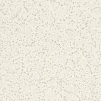 купить Rasch Gypso 700701