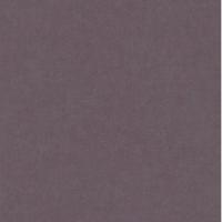 купить P+S International Seasons 02506-90