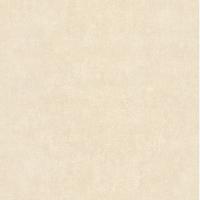 купить P+S International Seasons 02503-50