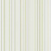 купить P+S International X-treme Color 05564-50
