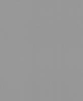 купить Rasch Modern Surfaces 2 607741