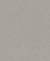 купить Rasch Modern Surfaces 2 512625