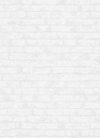 купить Erismann RollOver Deco 3 5303-10