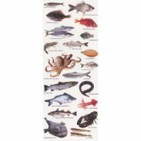 купить Marburg Suprofil 2014 45324