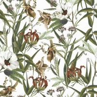 купить Graham & Brown Paradise 103324