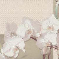 купить Rasch Tiles & More 825015