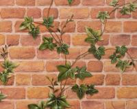 купить A.S.Creation Decora Natur 4 980410