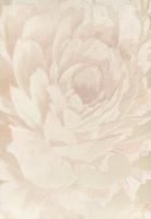 купить Sirpi Italian Silk 16500