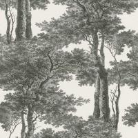 купить Rasch Passepartout 605419