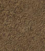 купить Rasch Black Forest 2016 514520