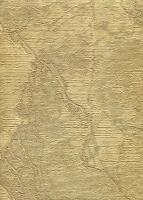 купить Sirpi Venetian Damask vd_16851