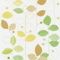 купить P+S International X-treme Color 05561-40