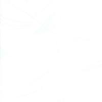 купить Grandeco Casa Doria cd-3001