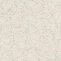 купить Rasch Gypso 700732