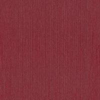 купить P+S International Graziosa 42121-80