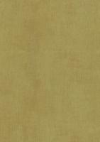 купить BN International Color Stories BN 218502