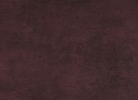 купить BN International Curious 17929
