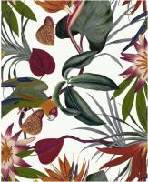 купить Graham & Brown Paradise 108601