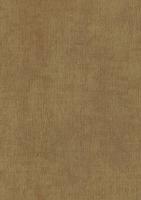 купить BN International Color Stories BN 18452