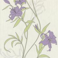 купить P+S International Timeless 2015 13175-30