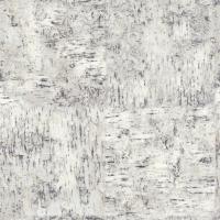 купить Rasch Selection 784244