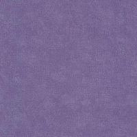 купить P+S International 4ever 02331-60