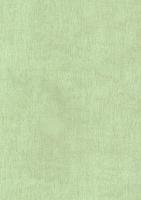 купить BN International Color Stories BN 48466