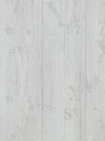 купить BN International More Than Elements 49755