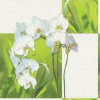купить Rasch Tiles & More 825008