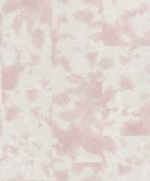 купить Rasch Pop Skin 498264