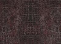 купить BN International Curious 17953