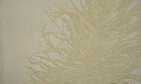 купить Rasch Gentle Divine 56935