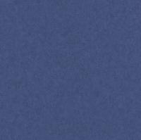 купить Rasch Kashmir 2019 702248