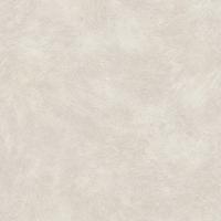 купить Rasch Metal Spirit 588323_2